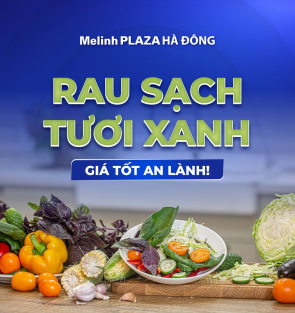 RAU SẠCH TƯƠI XANH - GIÁ TỐT AN LÀNH!
