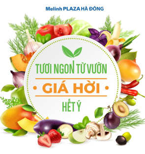 TƯƠI NGON TỪ VƯỜN - GI&Aacute; HỜI HẾT &Yacute;