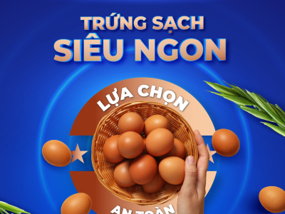 TRỨNG SẠCH SI&Ecirc;U NGON - LỰA CHỌN AN TO&Agrave;N 