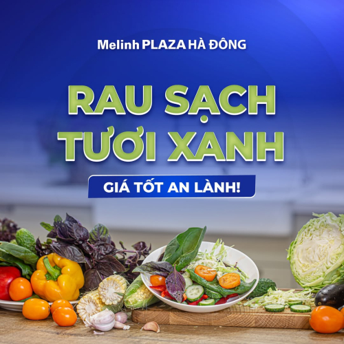 RAU SẠCH TƯƠI XANH - GIÁ TỐT AN LÀNH!