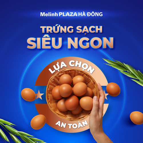 TRỨNG SẠCH SIÊU NGON - LỰA CHỌN AN TOÀN 