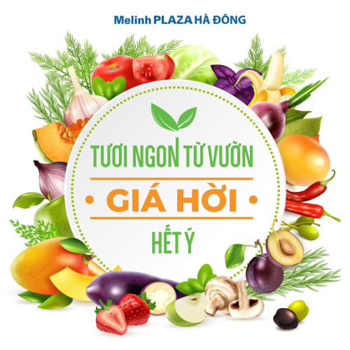 TƯƠI NGON TỪ VƯỜN - GIÁ HỜI HẾT Ý