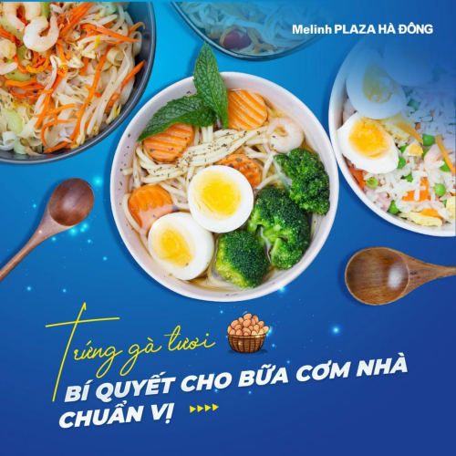 TRỨNG GÀ TƯƠI – BÍ QUYẾT CHO BỮA CƠM NHÀ CHUẨN VỊ